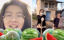 Từ bỏ tấm bằng thủ khoa đại học cùng mức lương khủng, cô gái vẫn quyết "bỏ phố về quê" trồng dưa với thu nhập bằng 1/10 lương cũ vì một lý do