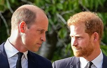 Điểm chung của William và Harry khi chọn vợ