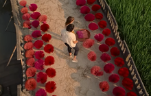 Loạt cảnh đẹp Việt Nam xuất hiện trong phim mới từ Hollywood: Chân thực đến từng chi tiết
