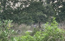 Thông tin bất ngờ vụ phát hiện 2 đoạn chân người ở bãi đất trống