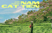 Vườn quốc gia Nam Cát Tiên đang xuất hiện cảnh quan gì mà người TP.HCM kéo nhau xuống Đồng Nai cho bằng được?
