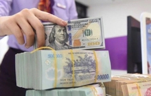 Lãi suất ngân hàng 27/5: Nhóm Big4 đồng loạt giảm lãi suất