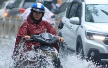 Cuối tuần mưa lớn, đường ngập, cây đổ ở TP HCM