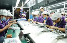Số cơ sở sản xuất cho Apple tại Việt Nam nhiều thứ 7 thế giới