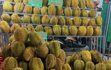 Sầu riêng ế khách, bán cả ngày chỉ có vài người hỏi mua