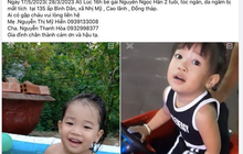 Bé gái 2 tuổi mất tích bí ẩn ở Đồng Tháp