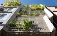Ấn tượng với ngôi nhà dùng cây xanh chống nóng