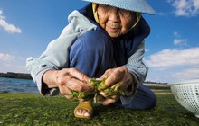 Người thân đều thọ gần 100 tuổi, chuyên gia rút ra bí quyết sống lâu: 6 loại đồ là "nơi thường trú" của bệnh tật, cần tránh xa