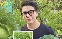 9x Vĩnh Long khiến bao người trầm trồ trước khu vườn rau trái tự tay chăm bón