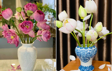 4 loại hoa sẽ nở rộ trong tháng 6 bạn nhất định phải mua về chưng