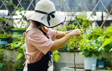 Khu vườn 20m² phủ kín hoa trên sân thượng của cô gái 9x