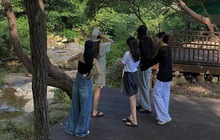 Team building trong mơ: Chỉ cần 1 bữa ăn ngon, lãnh đạo không tham gia các trò chơi