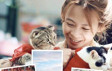 Căn chung cư không đủ chỗ cho đàn mèo, cô gái dồn tiền tiết kiệm, bỏ phố lên rừng làm nông dân