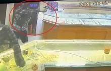 Khởi tố vụ nổ súng cướp tiệm vàng ở Hải Dương