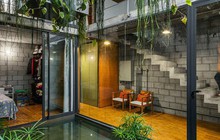 Ngôi nhà ống càng ngắm càng mê nhờ khu vườn xanh mướt
