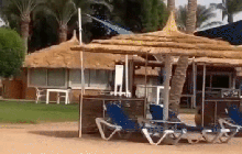 Nữ du khách gặp họa mất một cánh tay vì nhầm lẫn đáng tiếc khi đi bơi ở biển
