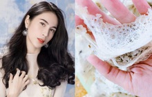 Vướng chỉ trích vì bị cho là cướp nhà chim yến, ca sĩ Thuỷ Tiên lên tiếng phân trần