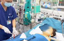 Bé trai tử vong vì ong vò vẽ đốt hơn 100 nốt trên đường đi học