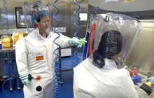 "Quý bà dơi" Vũ Hán cảnh báo về 20 loại virus corona mới