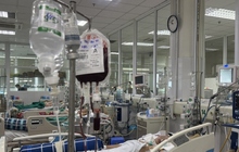 Hà Nội ghi nhận hơn 2.400 ca sốt xuất huyết mới trong một tuần