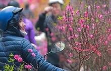Bộ Nội vụ thống nhất phương án 7 ngày nghỉ Tết Nguyên đán 2024