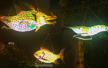 Độc lạ đèn trung thu truyền thống ''lơ lửng'' trên những con phố cổ Hà Nội