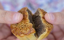 Công ty tặng bánh trung thu giả, nữ nhân viên phản ánh liền bị đuổi việc