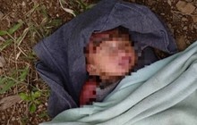 Phú Yên: Bé gái sơ sinh bị bỏ trong rừng keo, kiến bu đầy người
