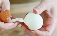 Một phần của trứng là báu vật dưỡng thương trăm năm của các võ sĩ sumo, giàu protein và collagen nhưng vẫn thường bị vứt bỏ đáng tiếc