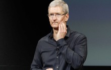 Tim Cook gian dối, báo hại Apple bốc hơi hơn 12 nghìn tỷ