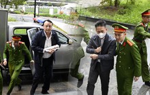 [VIDEO] Dẫn giải Chủ tịch Tập đoàn Tân Hoàng Minh cùng các bị cáo