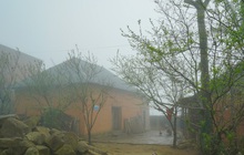 "Ngôi làng cổ tích" nằm trong biển mây của người Hà Nhì
