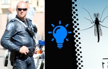 Chuyện thật như đùa: Cảnh sát Phần Lan phá án nhờ vào sự giúp đỡ của con muỗi!