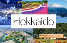 Du lịch mùa hè Hokkaido với chuyên cơ riêng