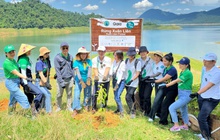 Manulife thực hiện cam kết góp trồng 4.000 cây rừng, khép lại chiến dịch cùng bạn sống khỏe thành công