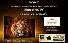 Sony BRAVIA XR OLED A95L chính thức có mặt tại Việt Nam sau khi đạt danh hiệu "King of 4K TV 2023"