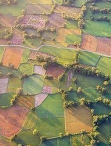 Ghé An Giang mùa lúa chín ngắm nhìn cánh đồng Tà Pạ độc đáo, đủ ô sắc màu