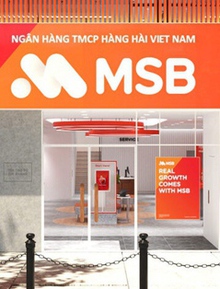 Bắt nữ giám đốc Ngân hàng MSB Thanh Xuân lừa đảo 338 tỉ đồng