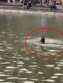 Đã xác định danh tính cô gái đuối nước tử vong ở hồ Hoàn Kiếm, người thân tiết lộ thêm thông tin