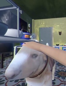 “Đấng sinh thành” Tiệm Phở Của Anh Hai vừa phải lên tiếng đính chính: Đây không phải đồ án tốt nghiệp!