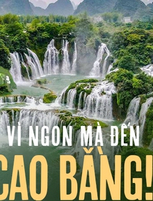 Thức quà mùa hè từ núi rừng chỉ có thể thưởng thức khi đến Cao Bằng