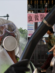 Toàn cảnh dịch sốt Chikungunya lan nhanh trên toàn thế giới: 240.000 ca mắc, 90 người tử vong; WHO ban hành cảnh báo