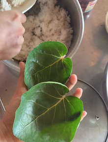 "Ước mơ" không phải rửa bát sau khi ăn, cô gái liền trồng ngay một loại cây, dân mạng xem xong chỉ biết trầm trồ