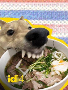 Nghệ thuật Comfort Food: Tại sao khi cô đơn, chúng ta lại thèm một bát phở nóng?
