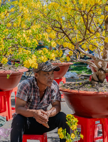 Trưa 29 Tết: Tiểu thương bán vội, khách mua nhanh, chợ hoa TP.HCM nhộn nhịp phút cuối