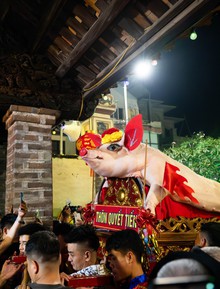 Cả làng La Phù thức trắng vì 17 “ông lợn”: Lợn ăn trứng, ngủ màn, mùa đông sưởi than để chờ giờ rước đình