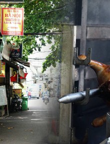 Cảnh tượng khó tin tại "Phố thịt chó" nổi tiếng một thời ở TP.HCM