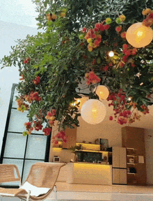 Căn nhà có cây chôm chôm cả MXH “khao khát”: Nằm giữa khuôn viên 6.000m2 ở Lâm Đồng, là món quà thừa kế