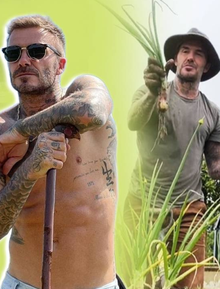 Beckham về quê làm vườn