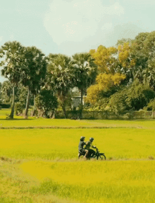 Quá đã phim Việt Nam viral quốc tế, 1 tân binh diễn cực hay khiến netizen đổ xô xin tên